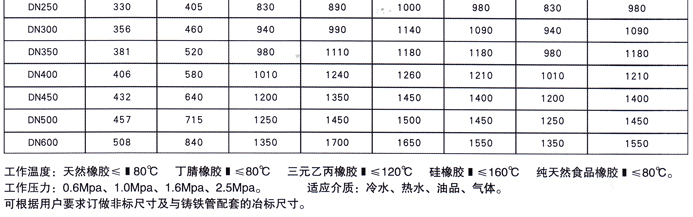 RVCX / SZ45X-16地下(xià)彈性座封(fēng)閘閥5